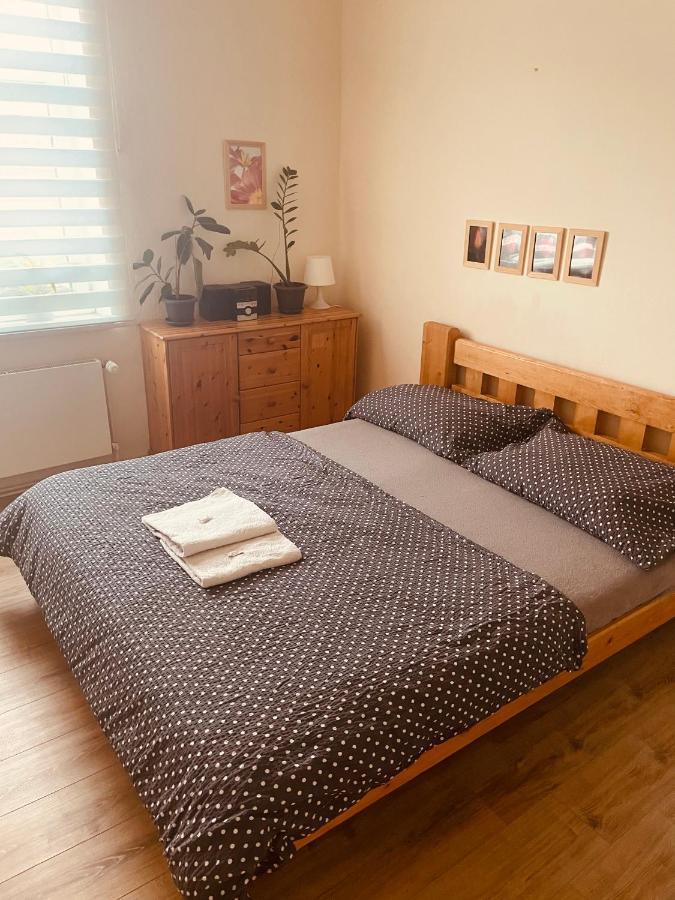 Apartman Lucian براغ المظهر الخارجي الصورة
