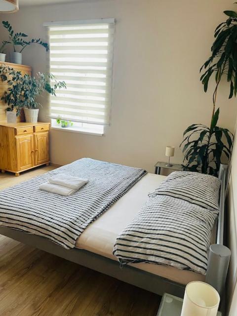 Apartman Lucian براغ المظهر الخارجي الصورة