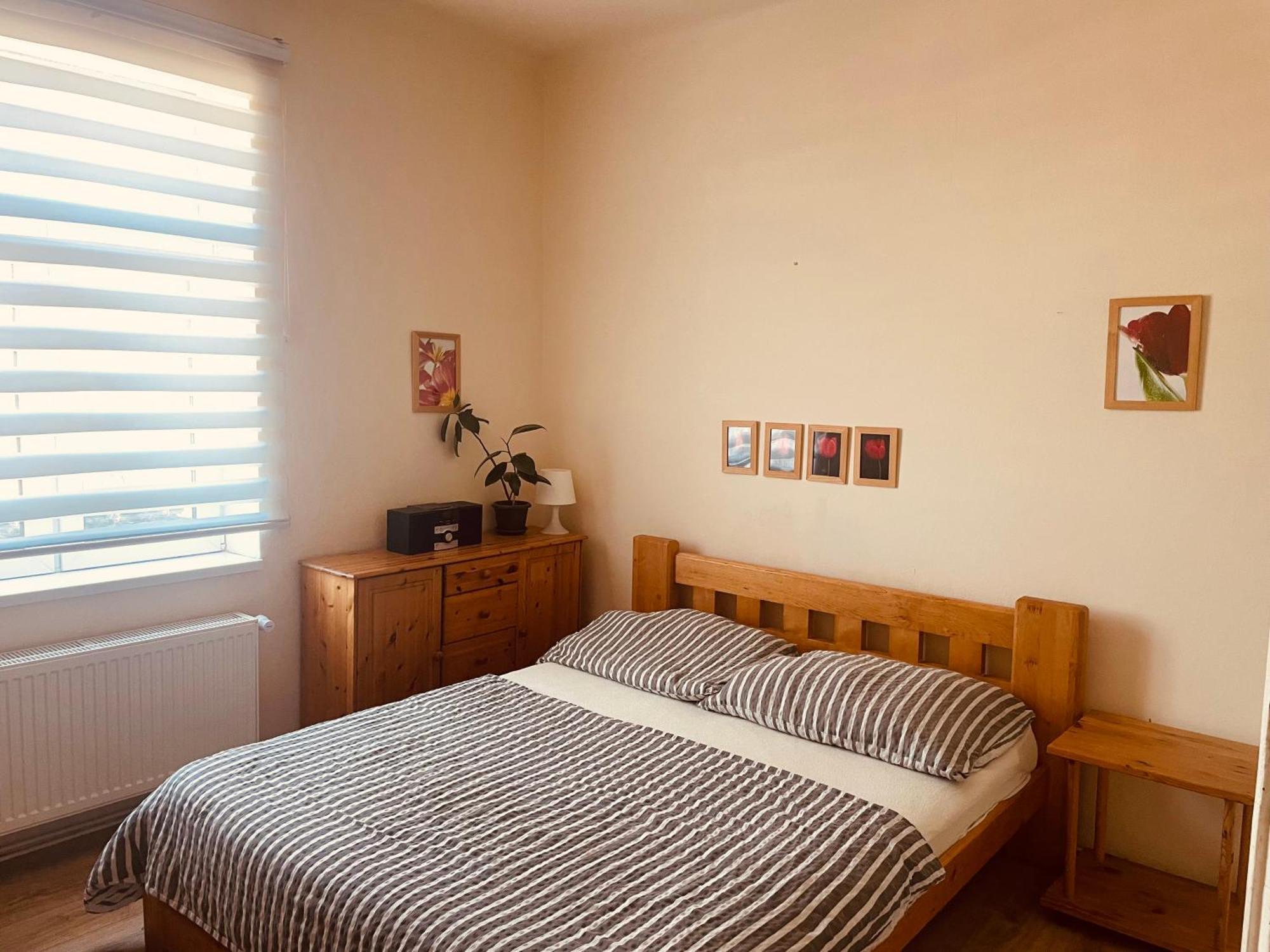 Apartman Lucian براغ المظهر الخارجي الصورة